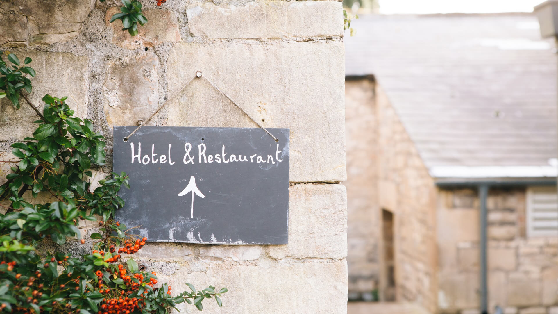 ランキング2の写真